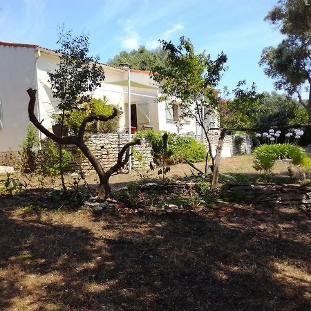 Bonifacio, Maison 90M² Sous Les Oliviers, Vue Sardaigne Bonifacio  Dış mekan fotoğraf