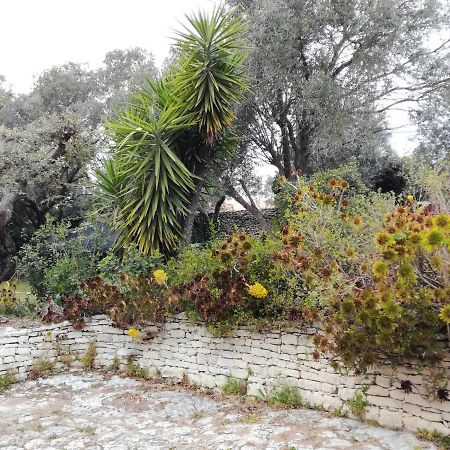 Bonifacio, Maison 90M² Sous Les Oliviers, Vue Sardaigne Bonifacio  Dış mekan fotoğraf