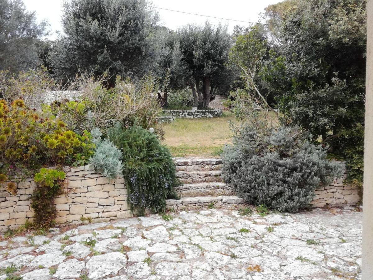 Bonifacio, Maison 90M² Sous Les Oliviers, Vue Sardaigne Bonifacio  Dış mekan fotoğraf